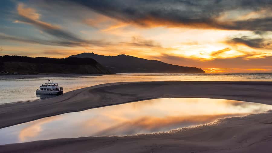 Raglan: Scenic Harbour Sunset Cruise - Key points to know before you go