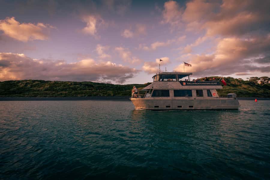 Raglan: Scenic Harbour Sunset Cruise - Wildlife, photos, and what to watch for