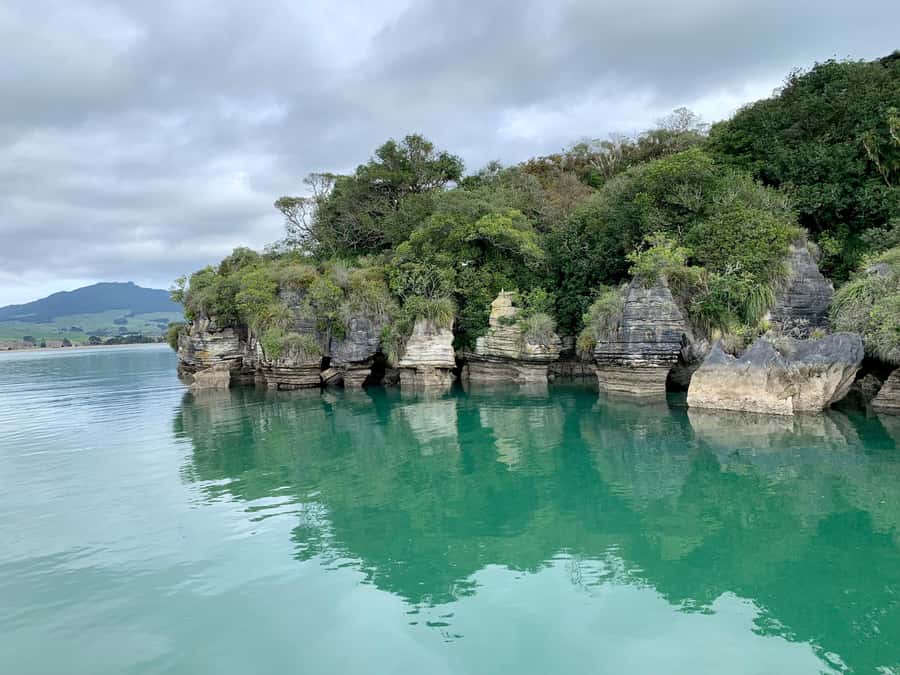 Raglan: Scenic Harbour Sunset Cruise - Who should book the Raglan sunset cruise?