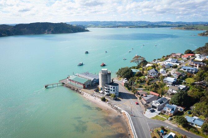 Raglan Scenic Nature Boat Cruise - Conservation areas and possible wildlife sightings