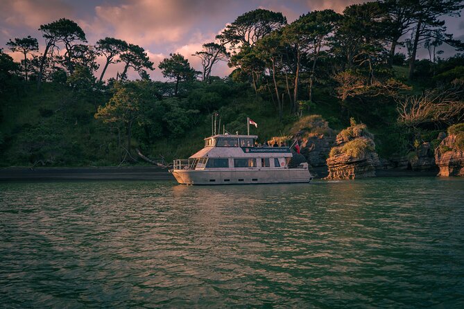 Raglan: Scenic Nature Boat Cruise - Meeting the boat at Raglan Wharf
