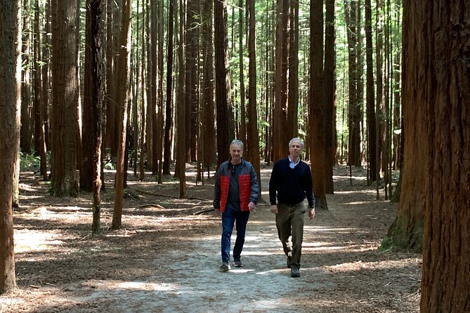 Redwood Forest , Blue Springs & Huka Falls Day Tour from Auckland - Price, group size, and the value of the day