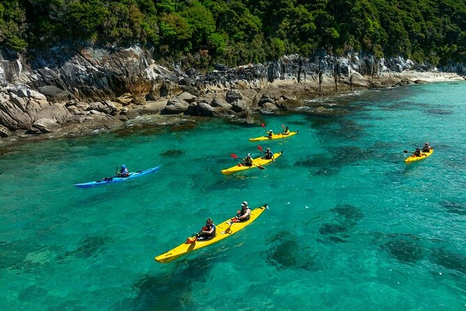 Remote Marine Reserve - Guided Kayaking - New Zealand - Why the tide matters in Abel Tasman