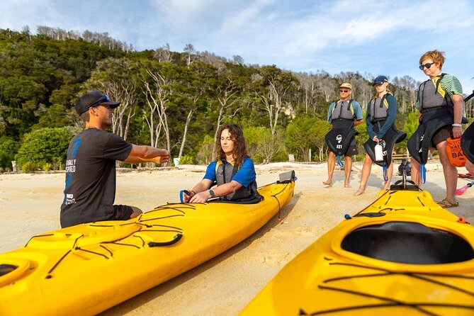 Remote Marine Reserve - Guided Kayaking - New Zealand - Is $220.30 a fair price?