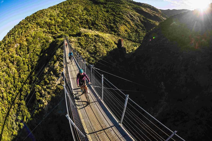 Remutaka Rail Trail eBike Shore Excursion for Cruise Ships - The Optional 10km Extension to Featherston