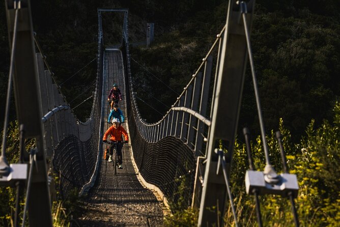 Remutaka Rail Trail Mountain Bike Explorer Cycle Tour - Cross Creek and the tougher final kilometres