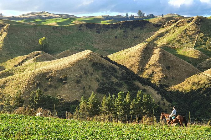 River Valley Stables - Burn The Breeze, Half Day Horse Ride For Riders - Riding gear and changeable weather