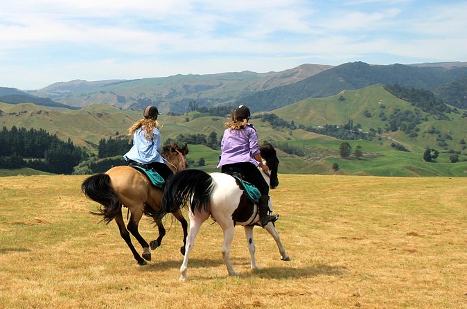 River Valley Stables - Burn The Breeze, Half Day Horse Ride For Riders - Price and what you receive for $170.66