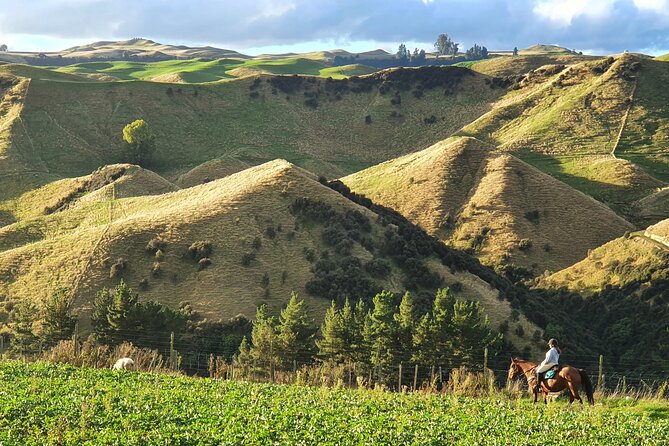 River Valley Stables - Burn The Breeze, Half Day Horse Ride For Riders - Who should book this ride?