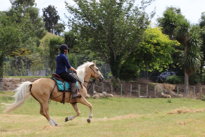 River Valley Stables - Burn The Breeze, Half Day Horse Ride For Riders - What the excellent feedback points to
