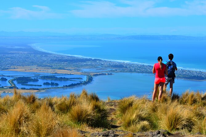 Rock Climbing Christchurch 1/2-day or full-day (Small Group Tour) - How the half-day and full-day options differ