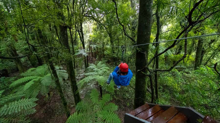 Rotorua: 6 Ziplines, Swing-Bridges & Wildlife Encounters - Weather, clothing, and practical comfort