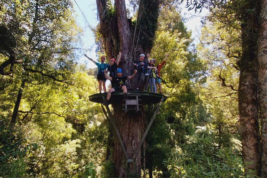 Rotorua: 6 Ziplines, Swing-Bridges & Wildlife Encounters - Who should book this Rotorua adventure?