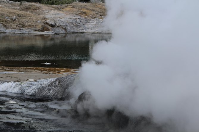 Rotorua and Waitomo Caves Day Trip from Auckland -Smaller Groups - How the day feels in practice