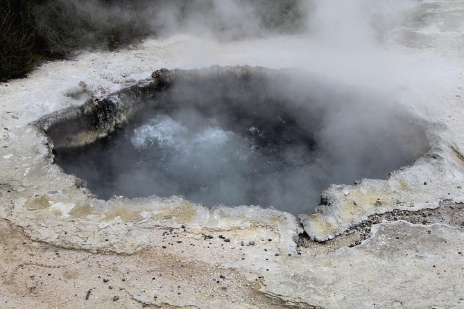 Rotorua and Waitomo Caves Day Trip from Auckland -Smaller Groups - What the $316.49 price includes