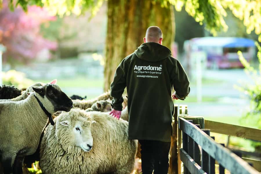 Rotorua: Authentic Kiwi Farm Experience at the Agrodome - Should you book the Agrodome?