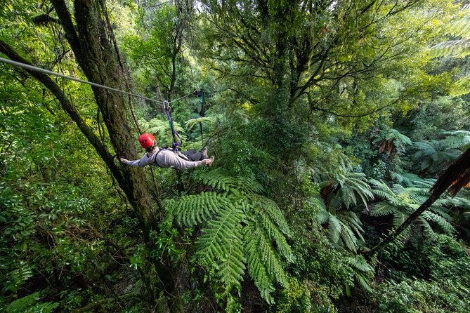Rotorua Canopy Tours: 2.5Hour Native Forest Zipline Adventure - The forest is the real attraction