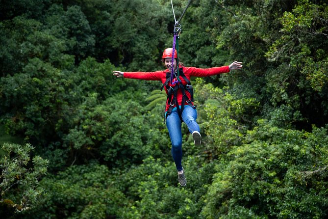 Rotorua Canopy Tours: 2.5Hour Native Forest Zipline Adventure - The nature lesson between the thrills