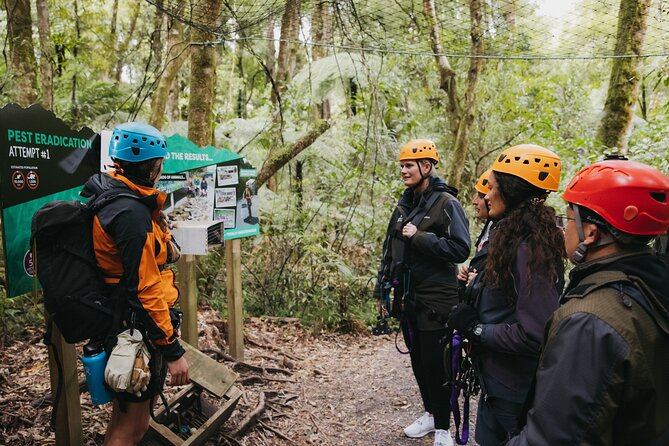 Rotorua Canopy Tours: 2.5Hour Native Forest Zipline Adventure - Weather, clothing, and comfort