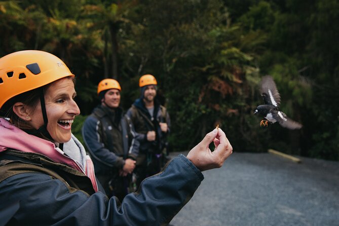 Rotorua Canopy Tours: 2.5Hour Native Forest Zipline Adventure - Who should book this Rotorua activity?