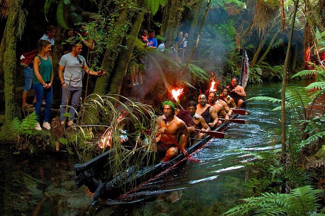 Rotorua Cultural & Geothermal Small Group Tour From Auckland - Is $294.77 good value?