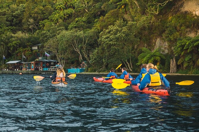 Rotorua: Daytime Scenic Lake Rotoiti Kayak Tour - Why Lake Rotoiti makes a fine paddling setting