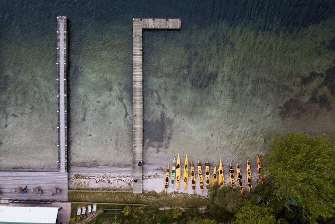 Rotorua: Daytime Scenic Lake Rotoiti Kayak Tour - Who will enjoy this Lake Rotoiti outing?