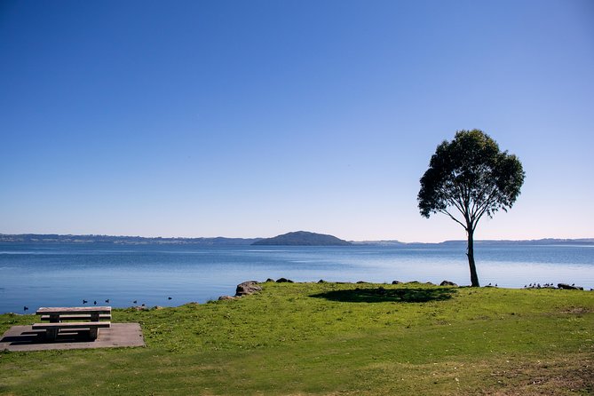 Rotorua Duck Boat Guided City and Lakes Tour - Sulphur Point and Rotorua’s Geothermal Character