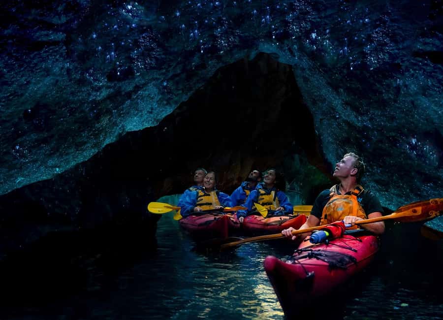 Rotorua: Evening Starlight Gourmet Kayak Tour with dinner - Guides make the quiet moments count