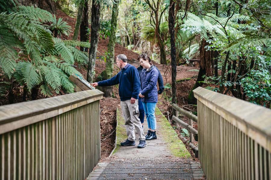 Rotorua: Explore The Lakes Half-Day Morning Tour - The Blue and Green Lakes side by side