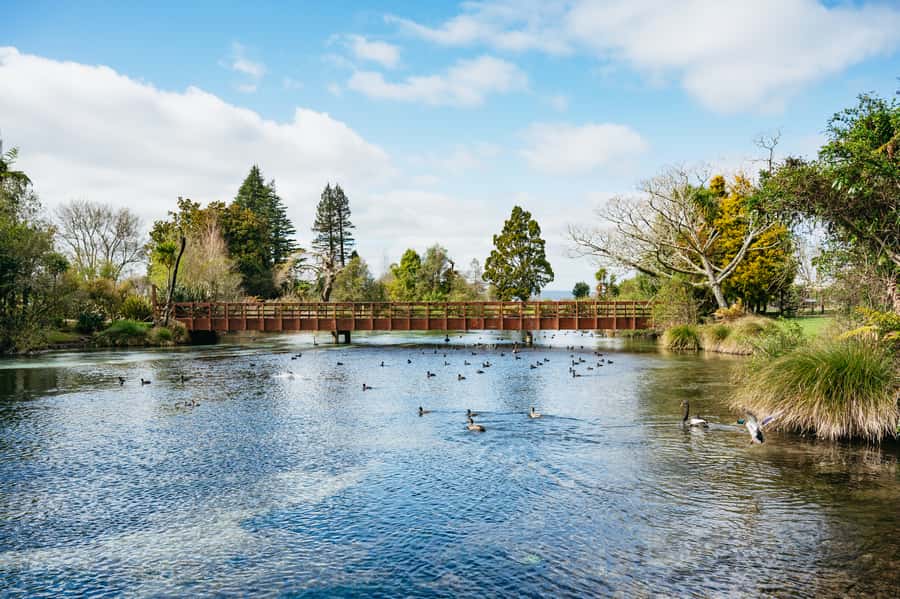 Rotorua: Explore The Lakes Half-Day Morning Tour - Who should book this morning tour?