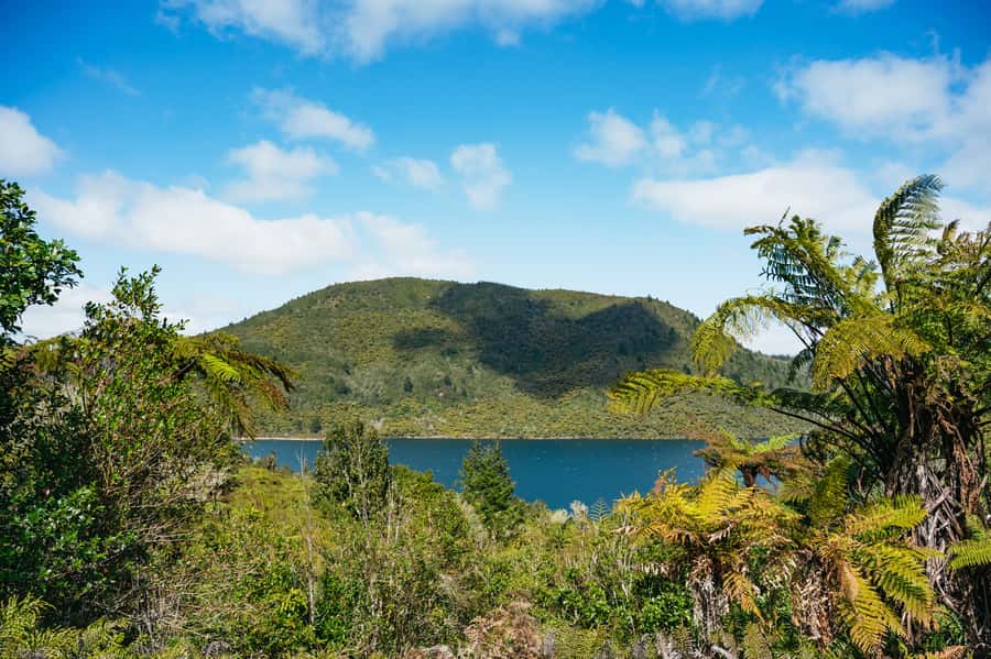 Rotorua: Explore The Lakes Half-Day Morning Tour - Hamurana Springs and the redwood walk