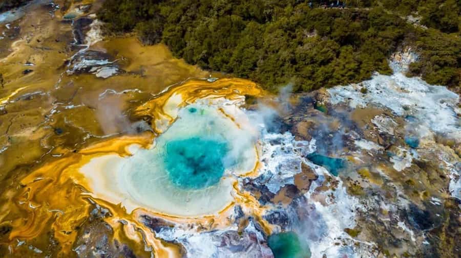 Rotorua: Floatplane Flight with Orakei Korako Landing - Why this flight offers more than a scenic ride