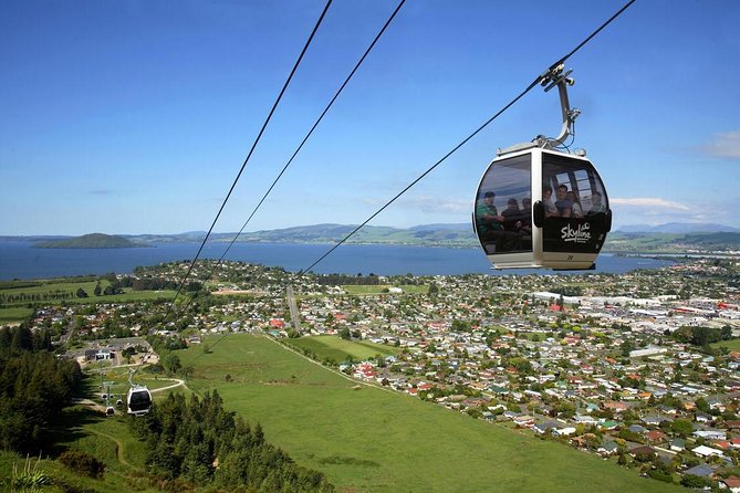 Rotorua Full Day Private Tour from Auckland - Kiwi conservation and Māori culture together