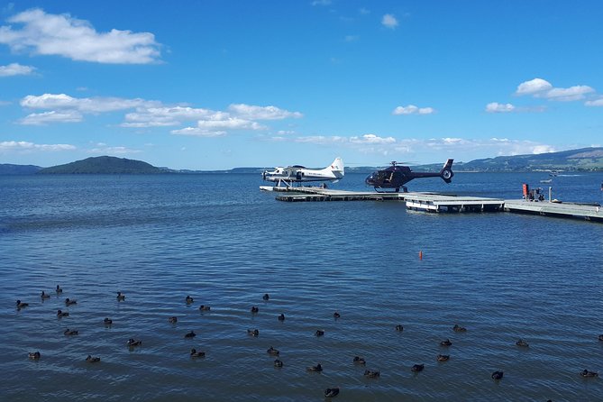 Rotorua Full Day Private Tour from Auckland - The nine-hour schedule and its limits