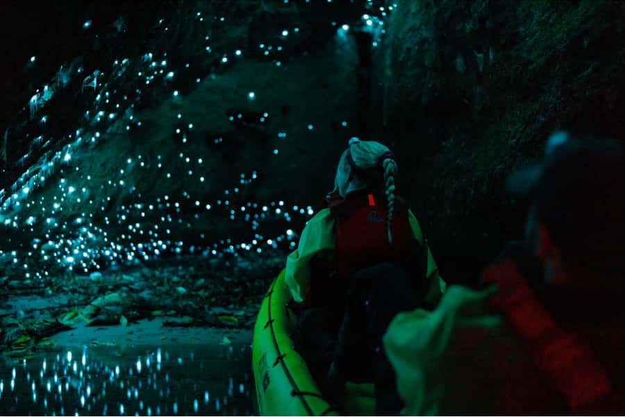 Rotorua: Glow Worm Adventure Kayak - Stars above the lake on the way back