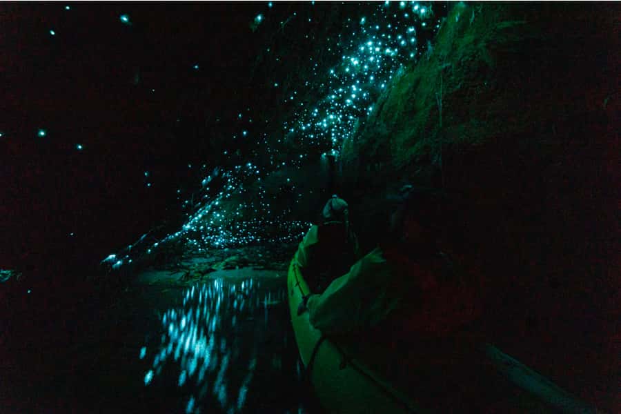 Rotorua: Glow Worm Adventure Kayak - Who should book this Rotorua adventure?