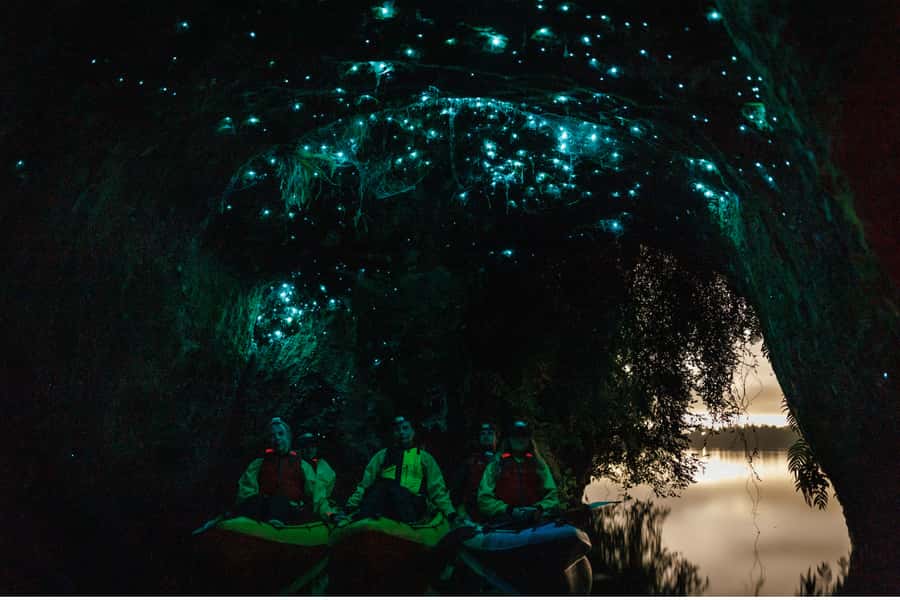Rotorua: Glow Worm Adventure Kayak - Paddling as daylight fades
