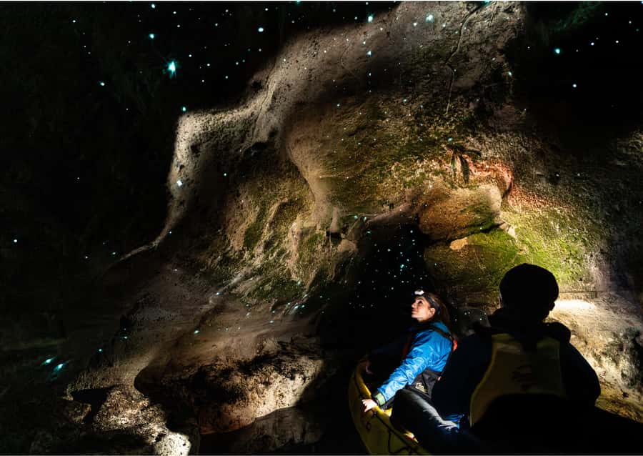 Rotorua: Glow Worm Kayak Tour - Key points at a glance