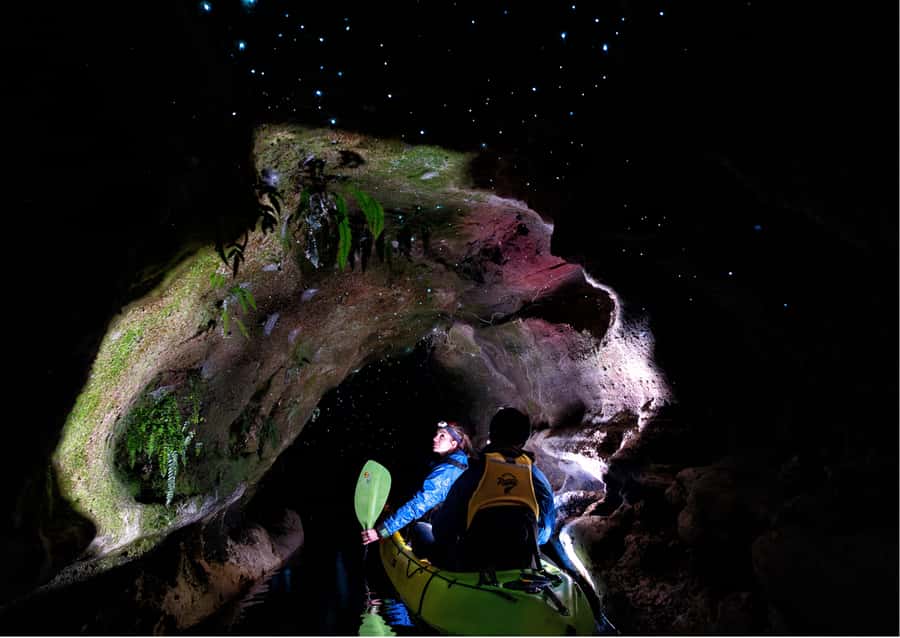 Rotorua: Glow Worm Kayak Tour - Stars, constellations, and the quiet return