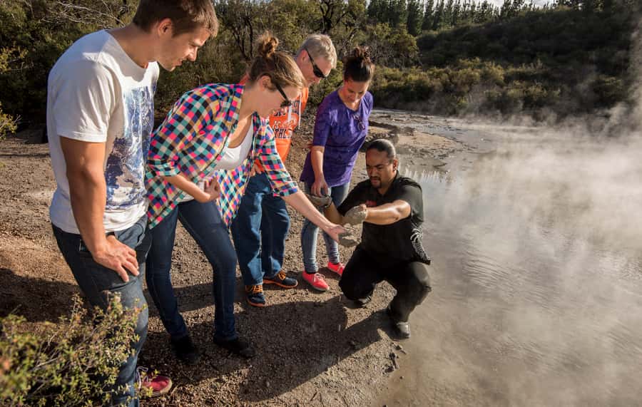 Rotorua: Hell's Gate Geothermal Walk - Self-guided walk or live explanation