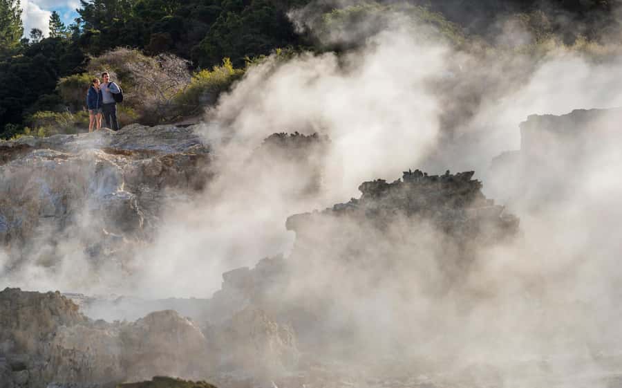 Rotorua: Hell's Gate Outdoor Mud Spa & Guided Walk - Family rules and health limits