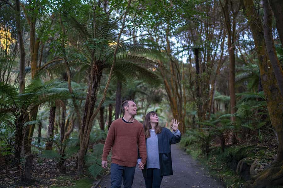 Rotorua: Hell's Gate Outdoor Mud Spa & Guided Walk - Why the cultural stories matter