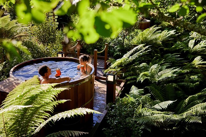 Rotorua Highlights Inc. Te Puia & Secret Spot Hot Tubs Day Tour - A short guided look at central Rotorua