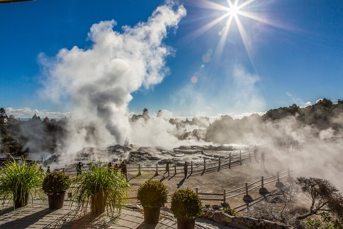 Rotorua Highlights Inc. Te Puia & Secret Spot Hot Tubs Day Tour - Te Puia brings geysers and Māori culture together