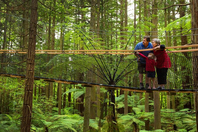 Rotorua Highlights Tour from Auckland with Optional Extras - The return journey to Auckland