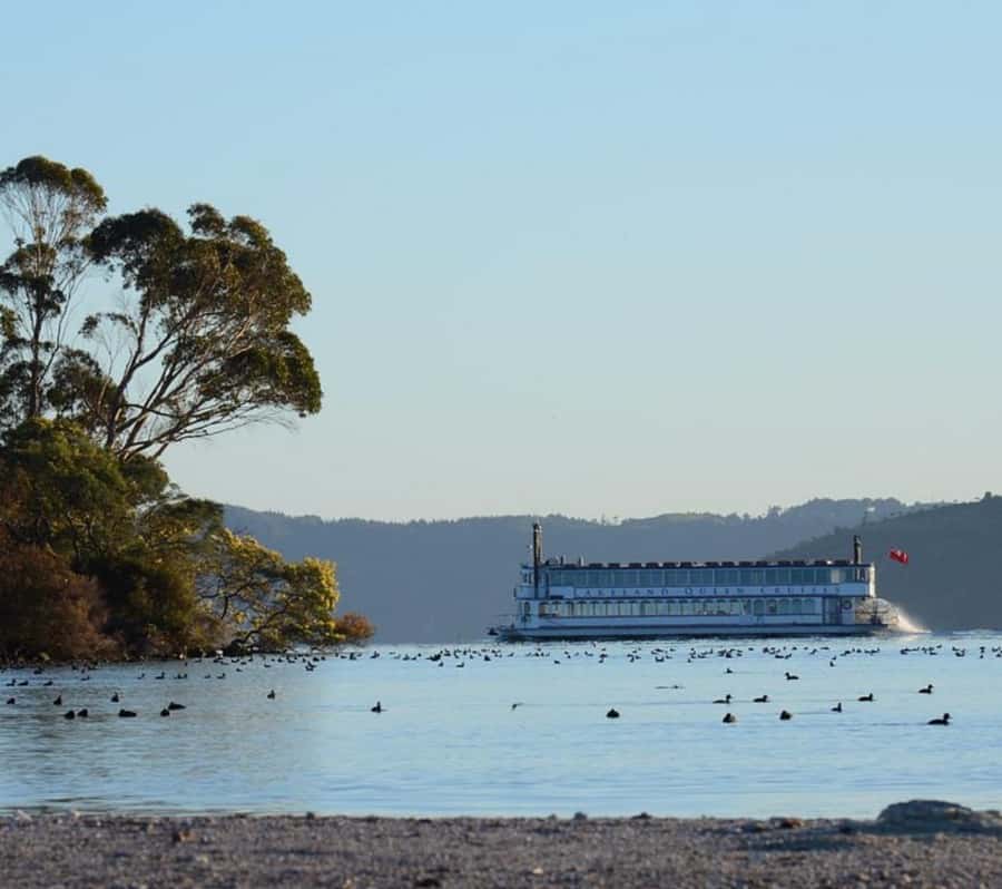 Rotorua: Lake Rotorua Cruise with Buffet Dining Option - Why Lake Rotorua works so well from the water