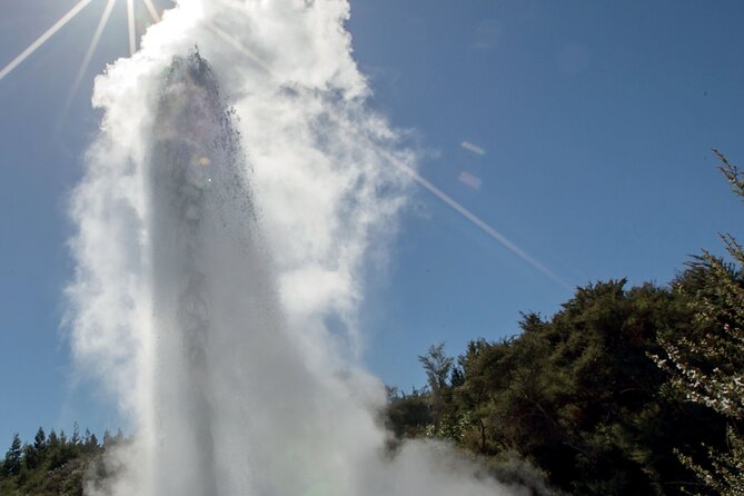 Rotorua Māori Village and Activity Combinations from Auckland - Whakarewarewa, where geothermal life meets Māori culture