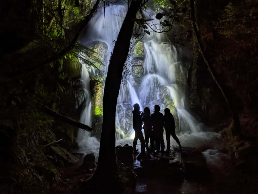 Rotorua: Nocturnal Glow-Worm Adventure Tour with a Guide - Following water through native bush