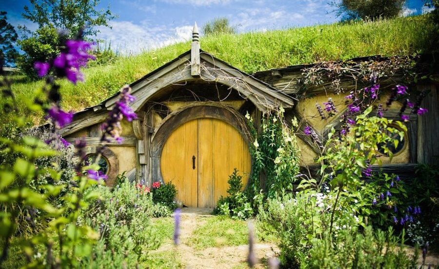 Rotorua: One-Way Trip to Auckland via Hobbiton & Waitomo - Waitomo’s glowworm grotto is the quiet finale
